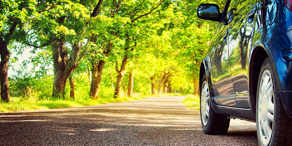 Driving Through Park
