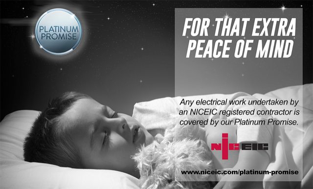 NICEIC Accredited Domestic Electricians