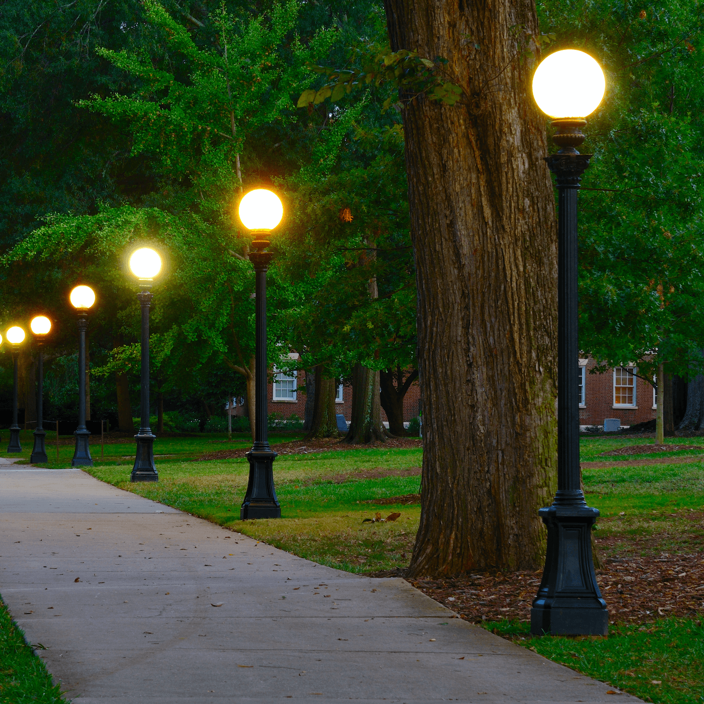 Educational Campuses